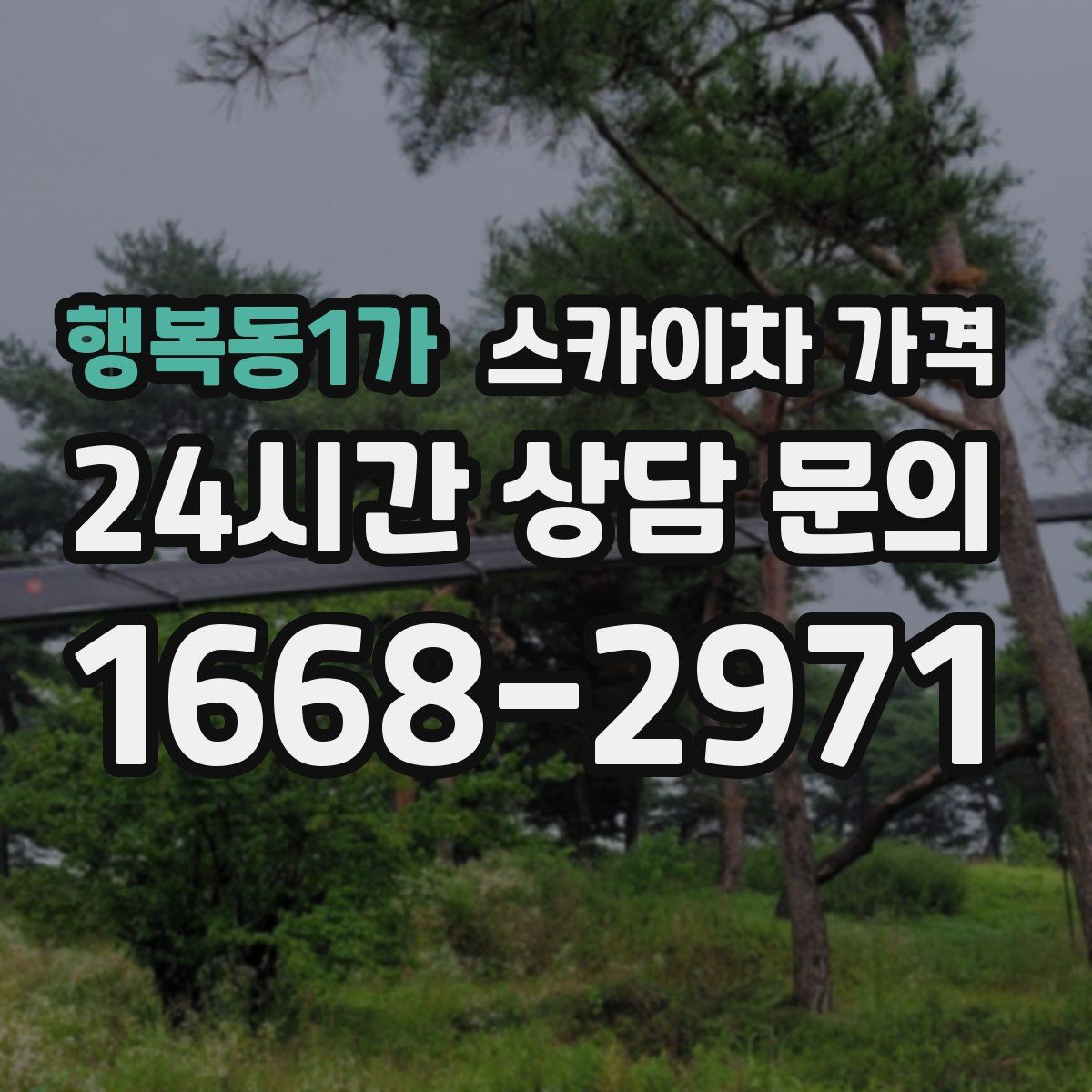 행복동1가 스카이차 가격