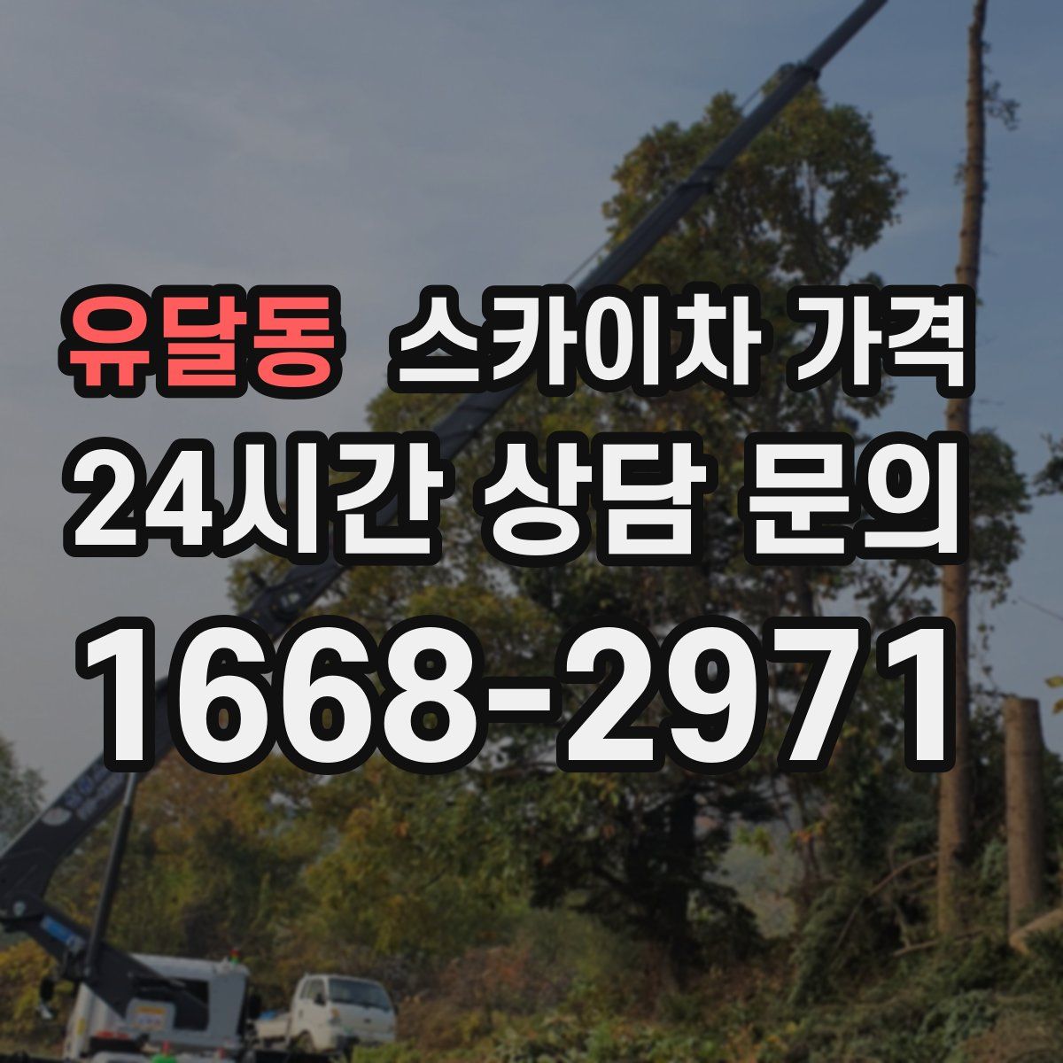 유달동 스카이차 가격