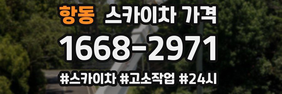 항동 스카이차 가격