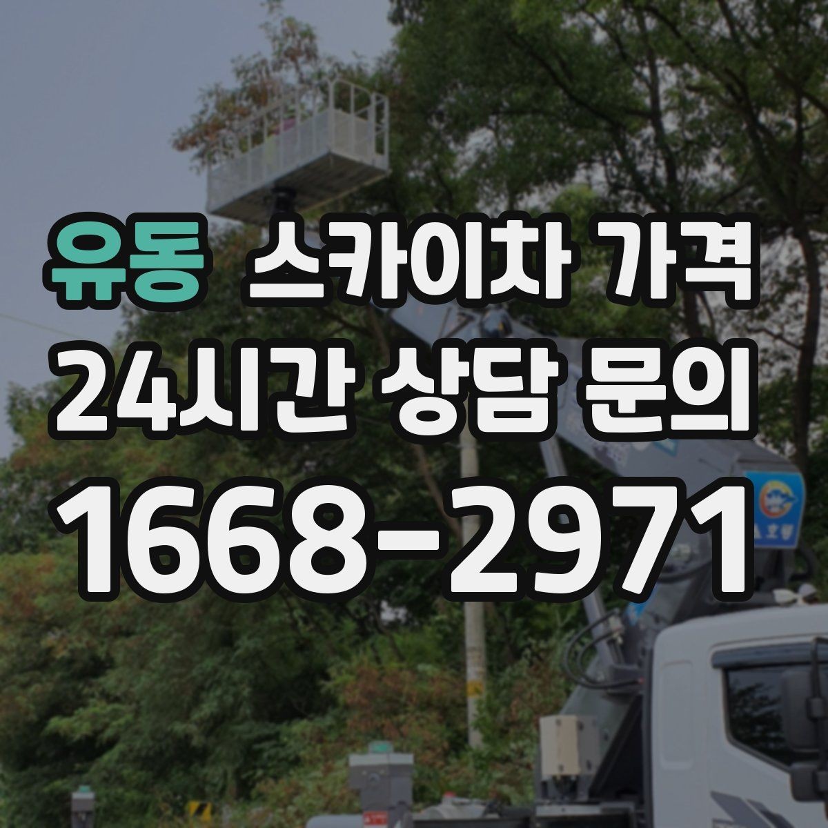 유동 스카이차 가격 시즌 장식 설치는 작업 시간대(주간/야간/심야)이 길어지는 이유