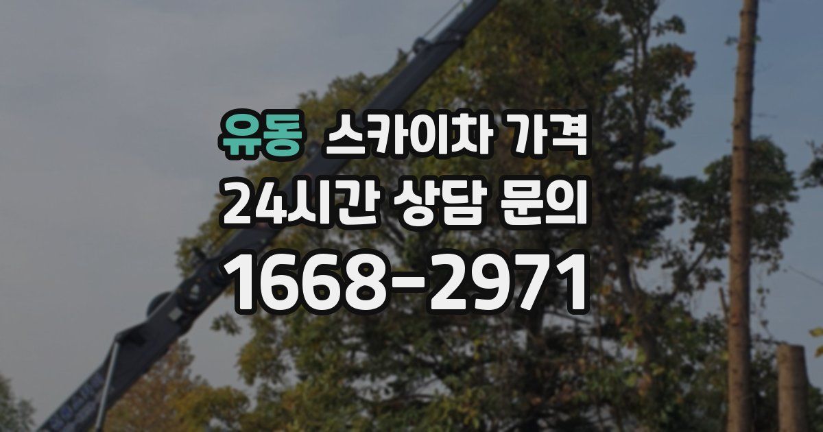 유동 스카이차 가격