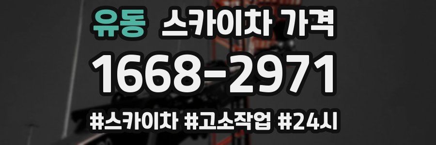 유동 스카이차 가격