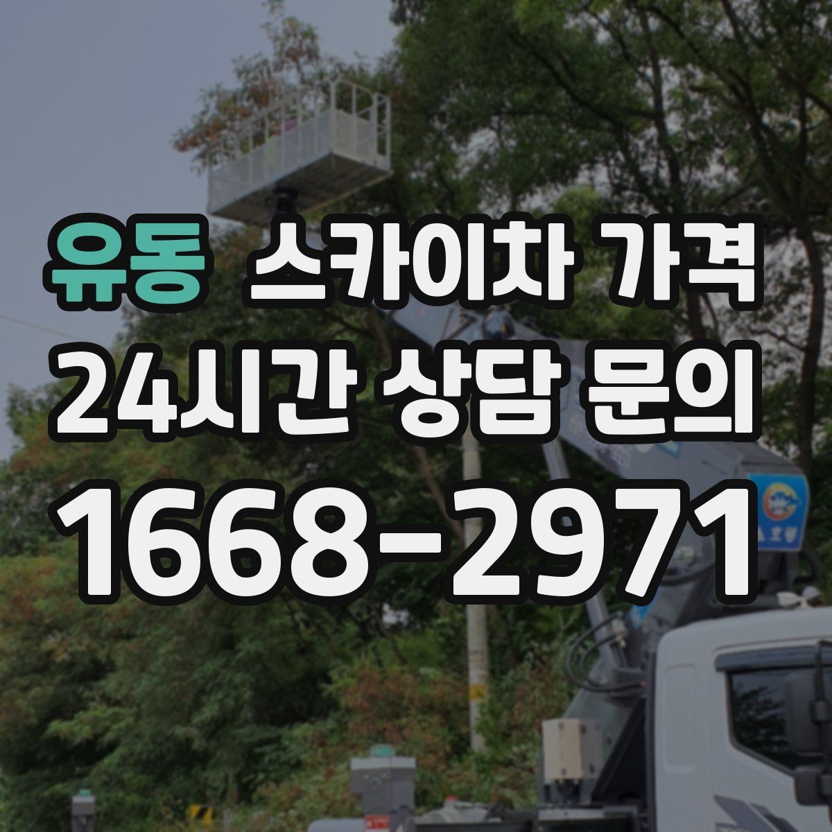 유동 스카이차 가격