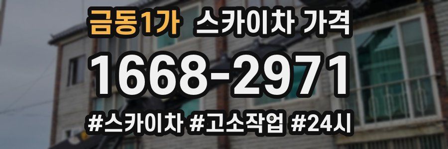 금동1가 스카이차 가격