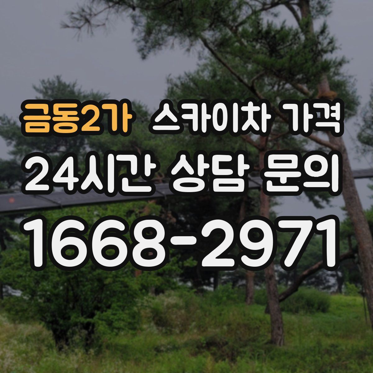 금동2가 스카이차 가격