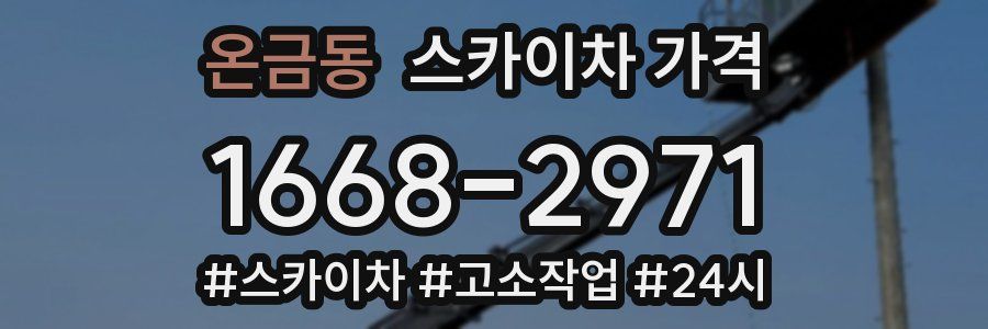 온금동 스카이차 가격