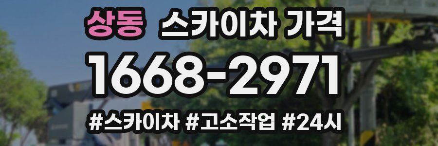 상동 스카이차 가격