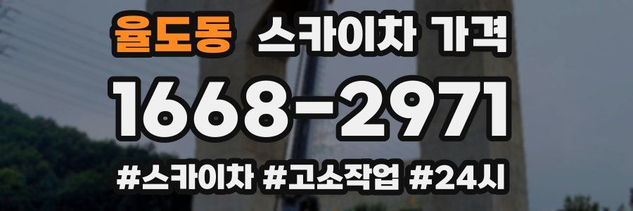 율도동 스카이차 가격