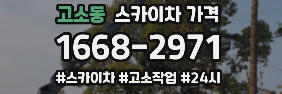 고소동 스카이차 가격