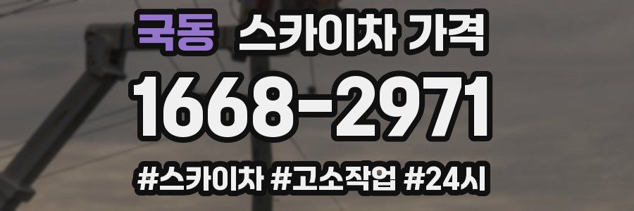 국동 스카이차 가격