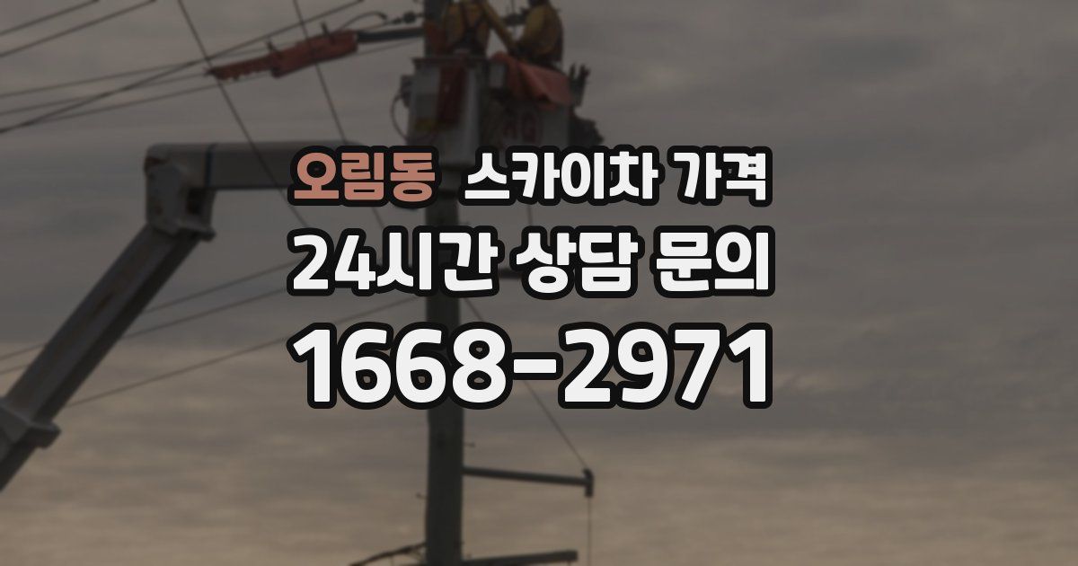 오림동 스카이차 가격