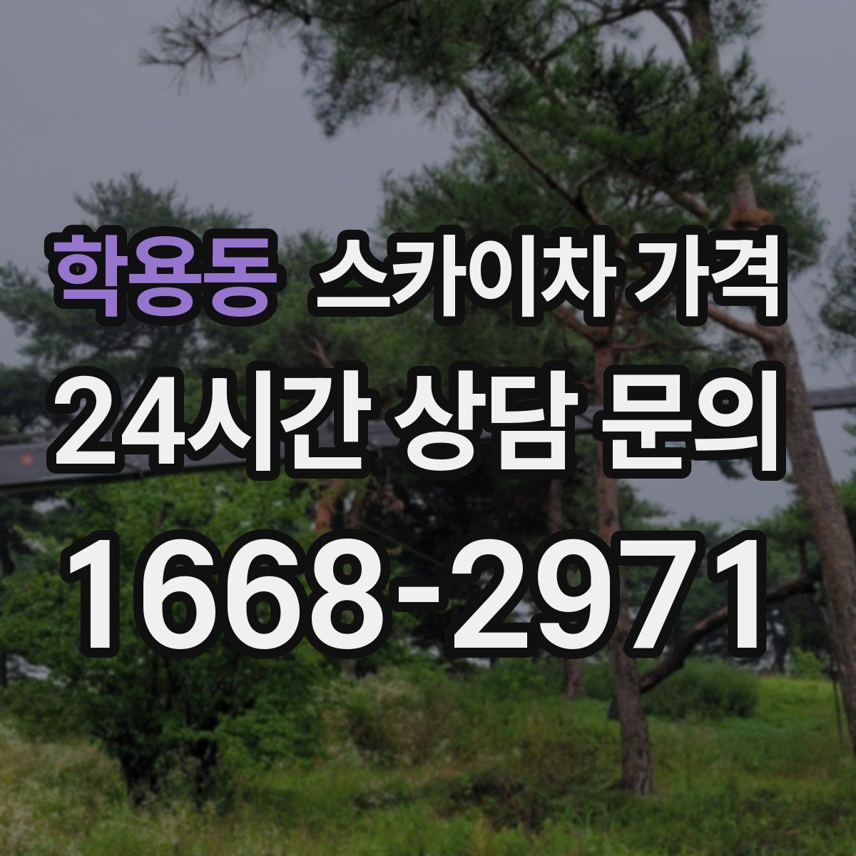 학용동 스카이차 가격