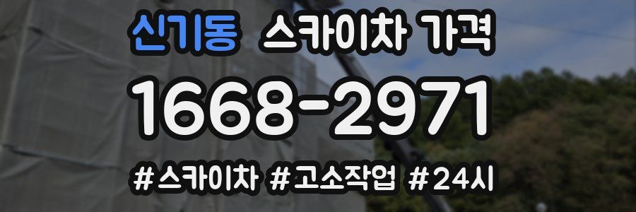 신기동 스카이차 가격