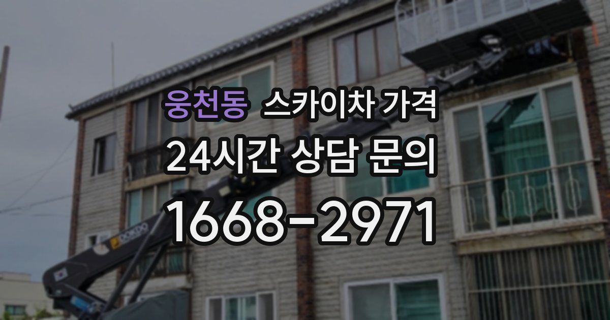 웅천동 스카이차 가격