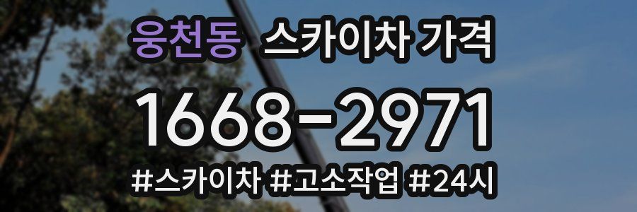 웅천동 스카이차 가격