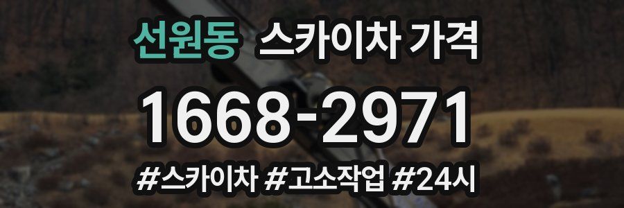 선원동 스카이차 가격