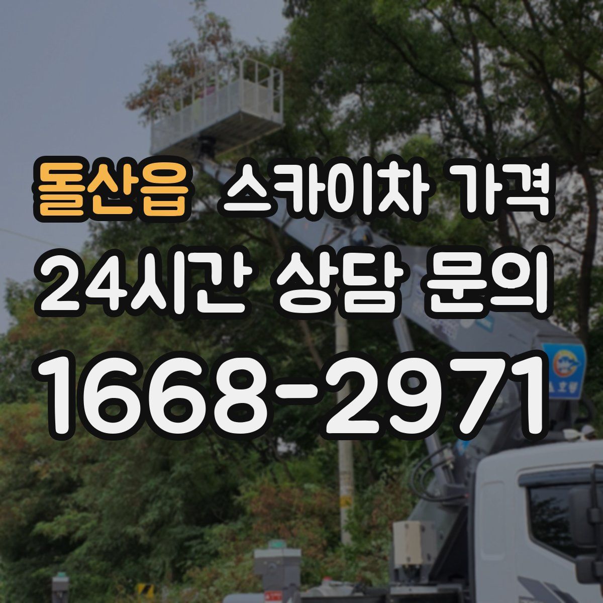 돌산읍 스카이차 가격