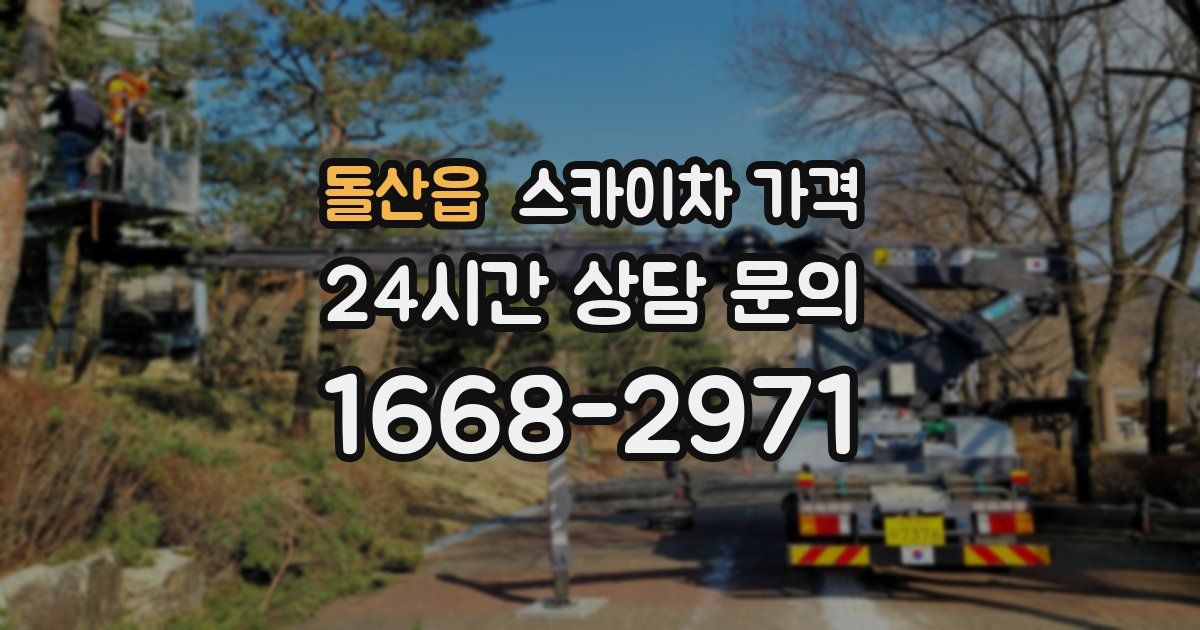 돌산읍 스카이차 가격