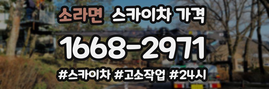 소라면 스카이차 가격