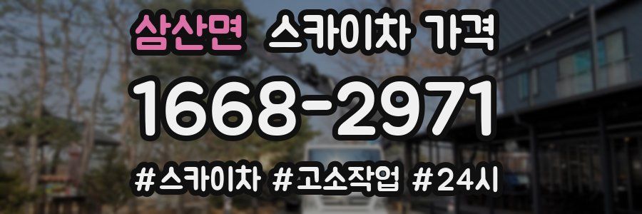 삼산면 스카이차 가격