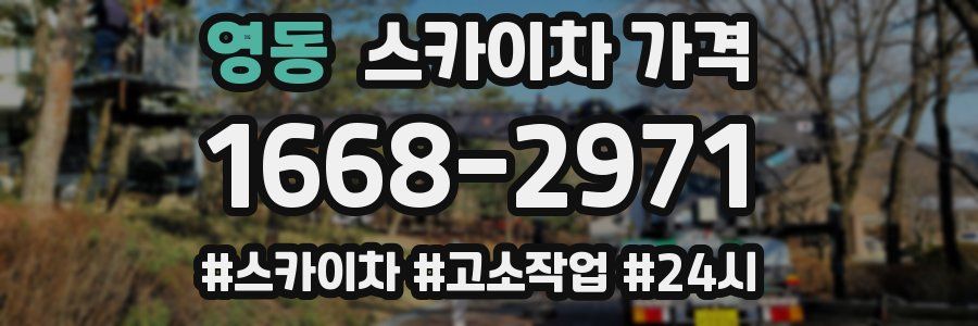 영동 스카이차 가격