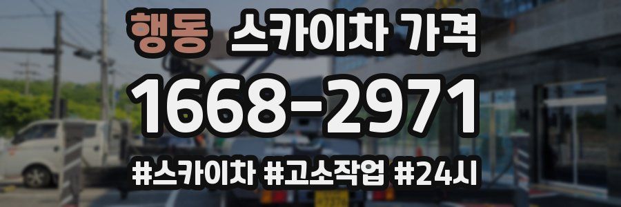 행동 스카이차 가격