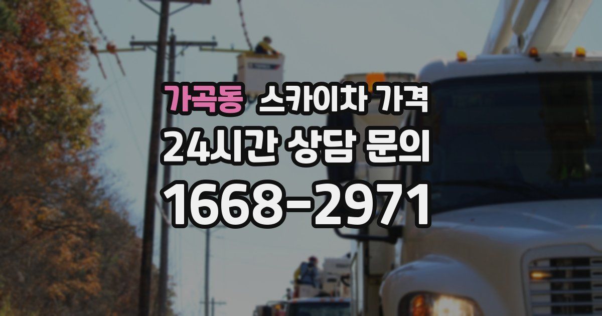 가곡동 스카이차 가격