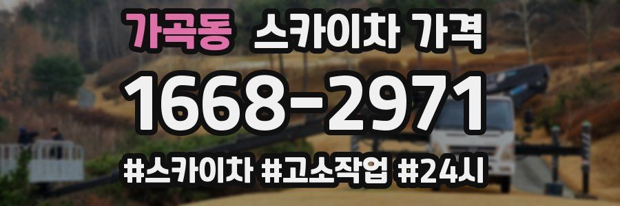 가곡동 스카이차 가격