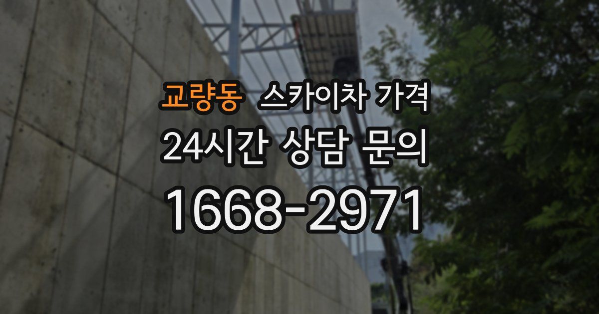 교량동 스카이차 가격