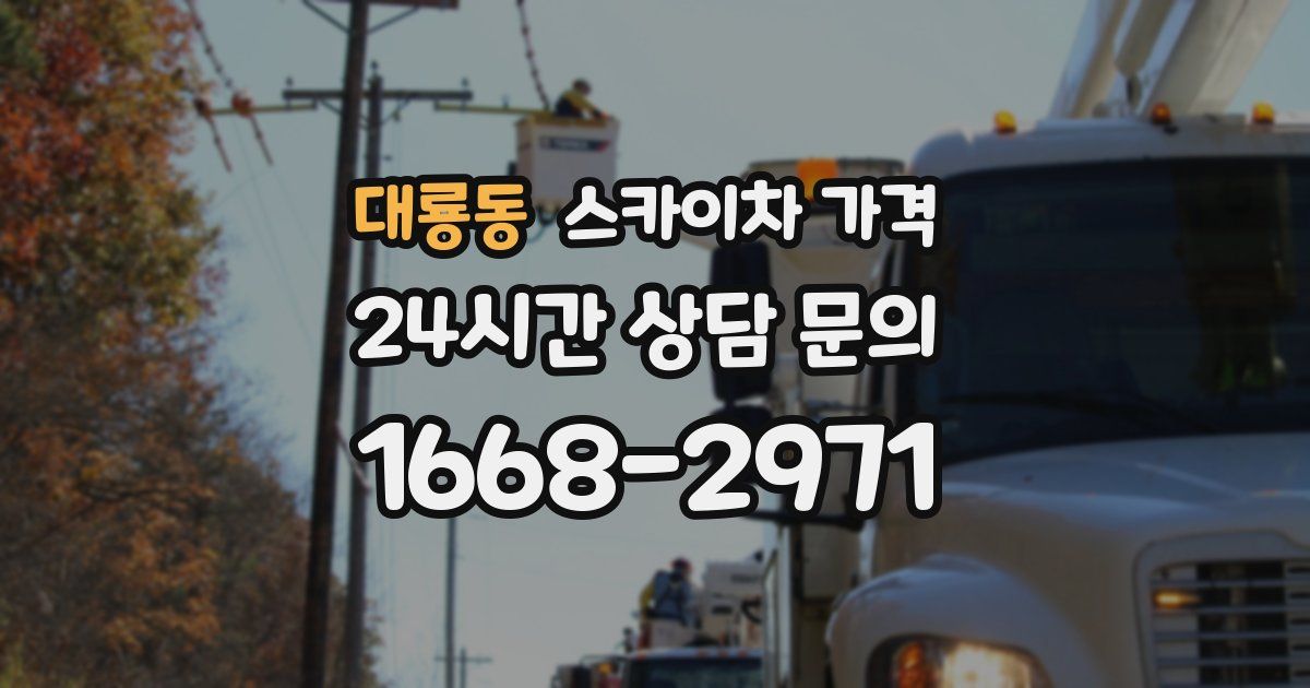 대룡동 스카이차 가격