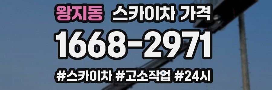 왕지동 스카이차 가격