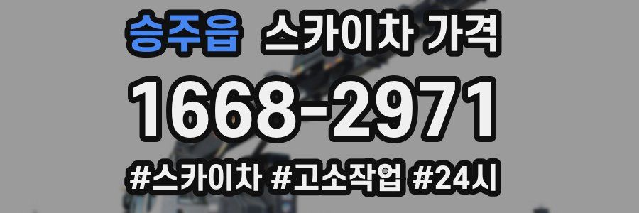 승주읍 스카이차 가격