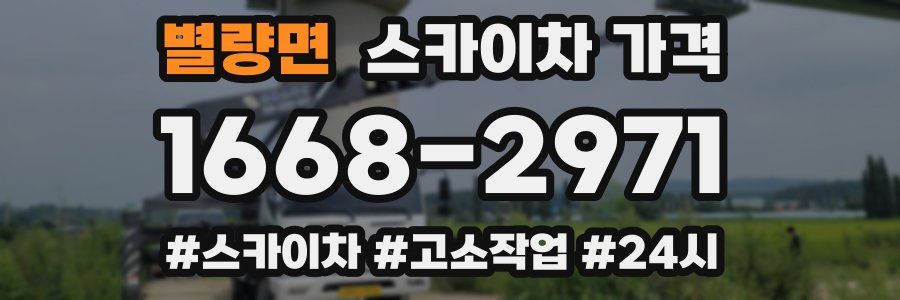 별량면 스카이차 가격