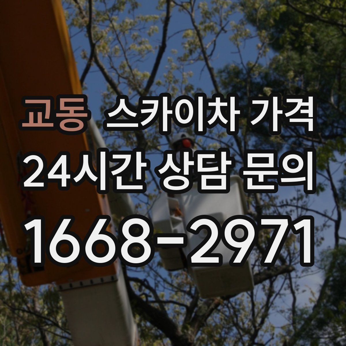 교동 스카이차 가격 견적 비교할 때 꼭 같은 조건인지 확인하세요