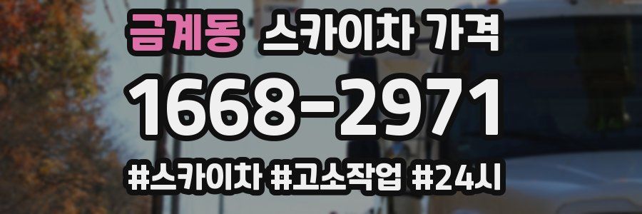 금계동 스카이차 가격