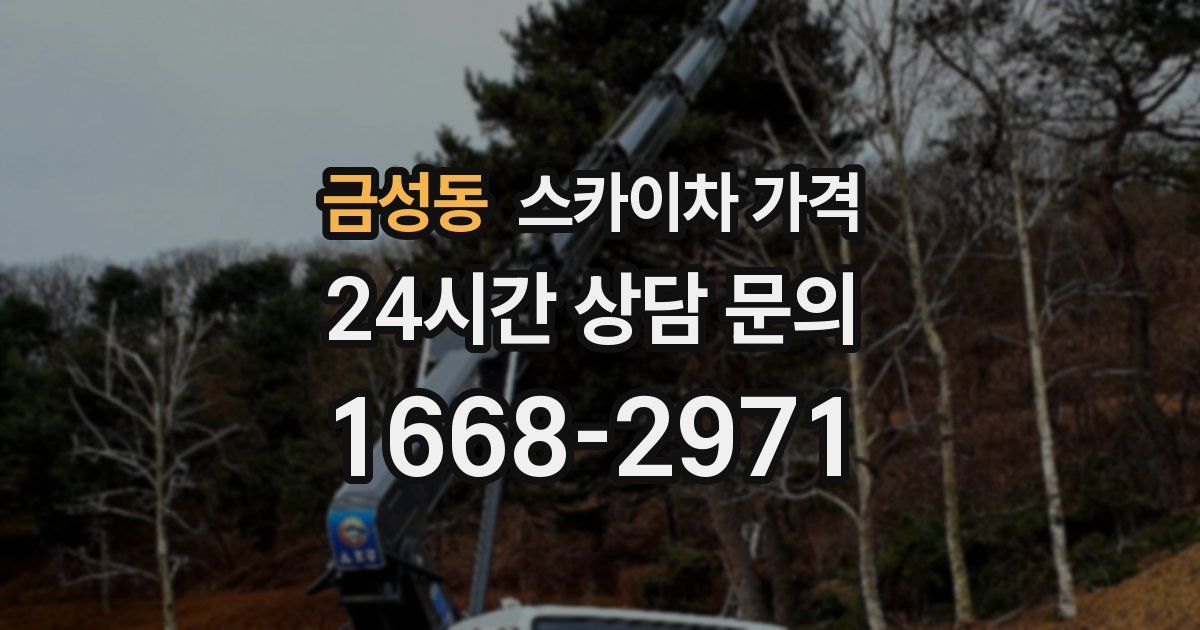 금성동 스카이차 가격