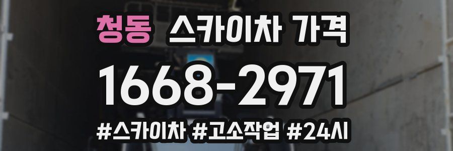 청동 스카이차 가격