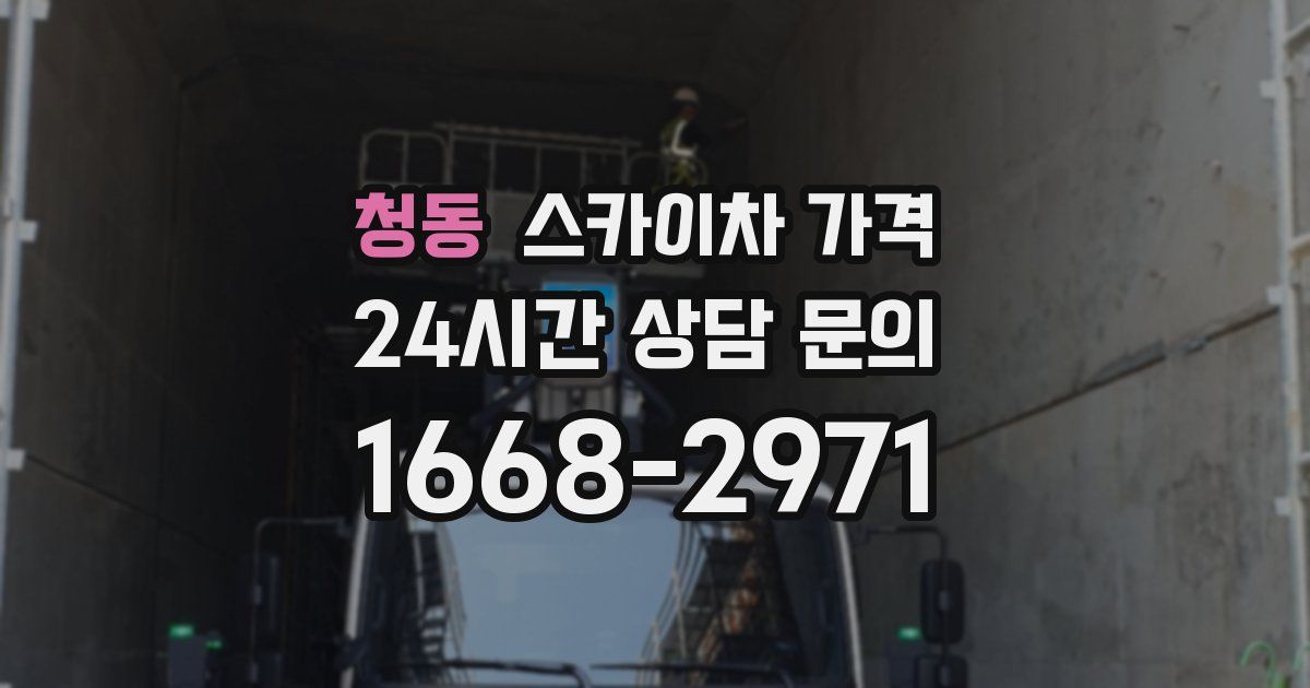 청동 스카이차 가격