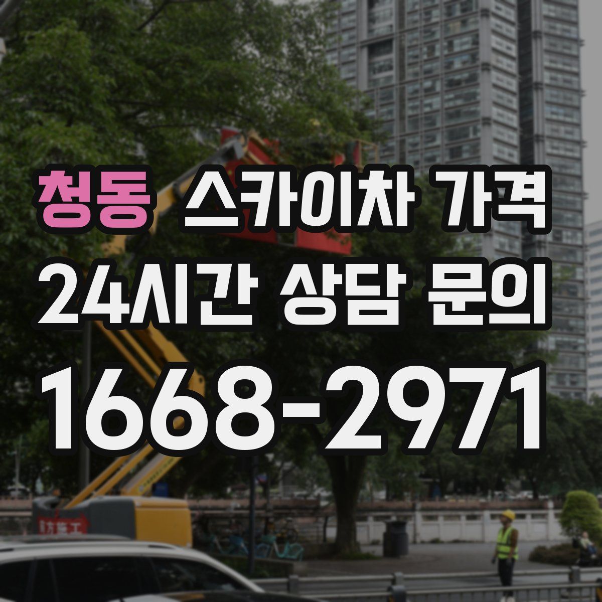 청동 스카이차 가격