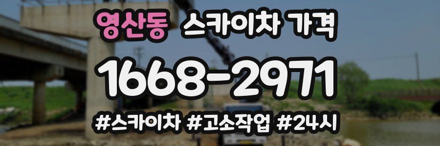 영산동 스카이차 가격