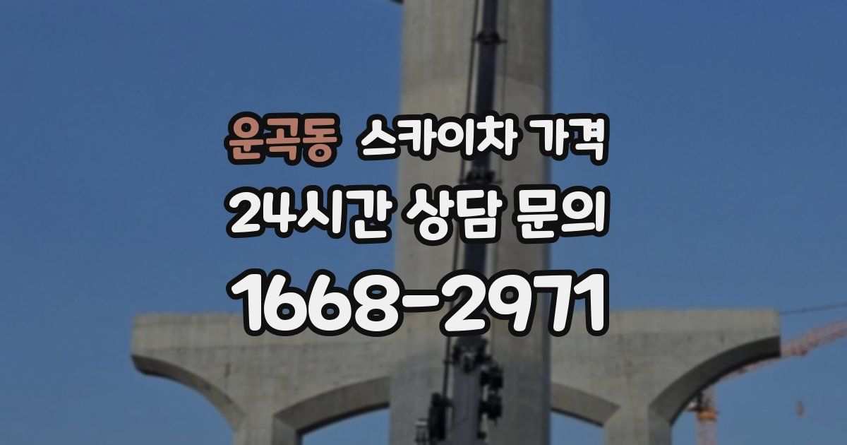 운곡동 스카이차 가격