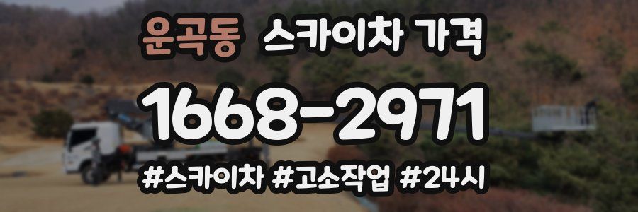 운곡동 스카이차 가격