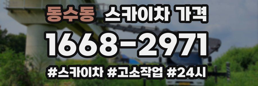 동수동 스카이차 가격