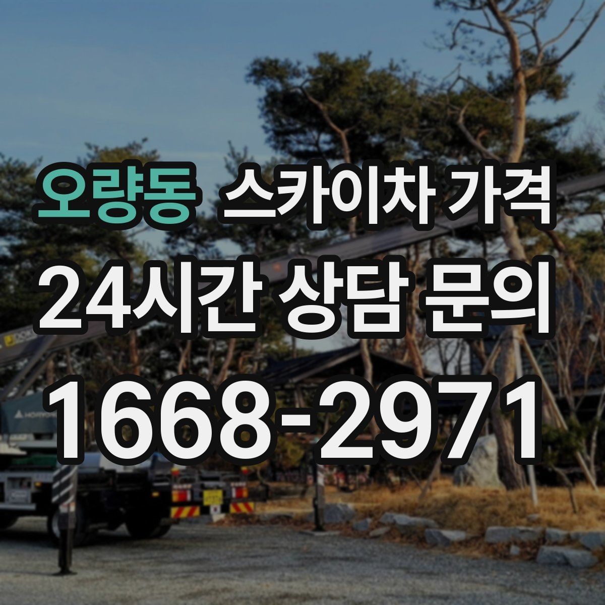 오량동 스카이차 가격 수목 전정 작업에서 확인할 항목