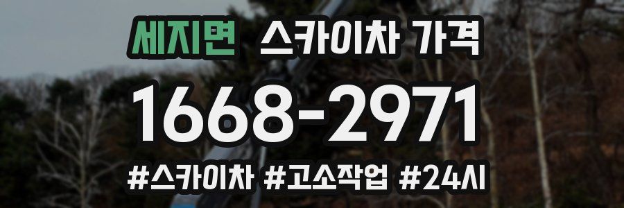 세지면 스카이차 가격