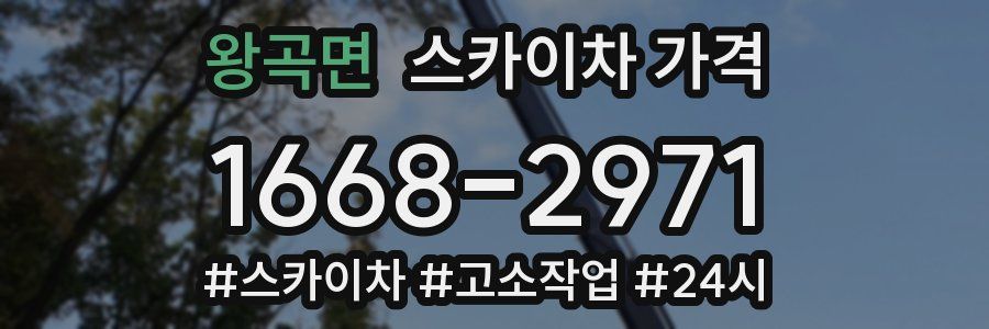 왕곡면 스카이차 가격