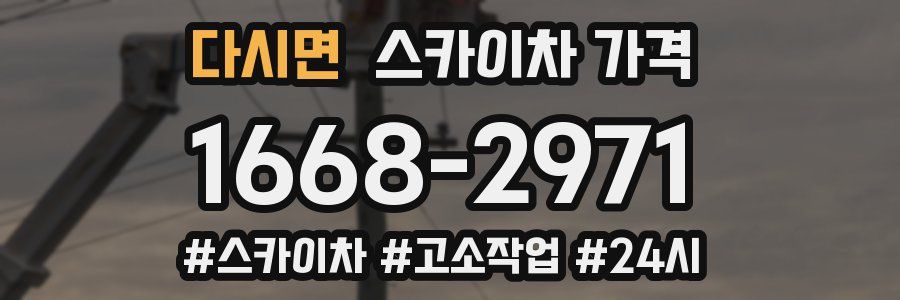 다시면 스카이차 가격