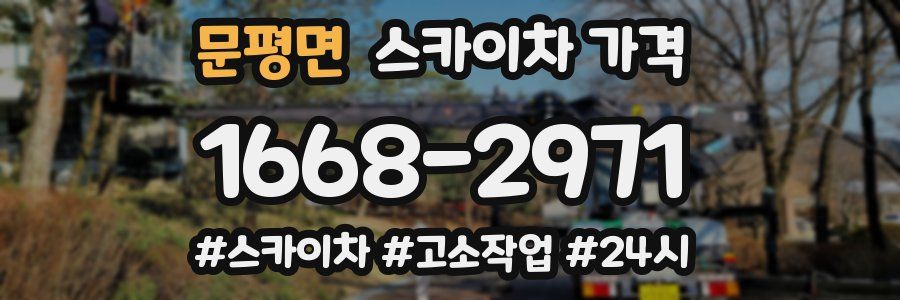 문평면 스카이차 가격