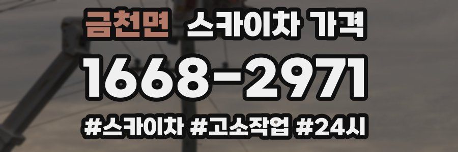 금천면 스카이차 가격
