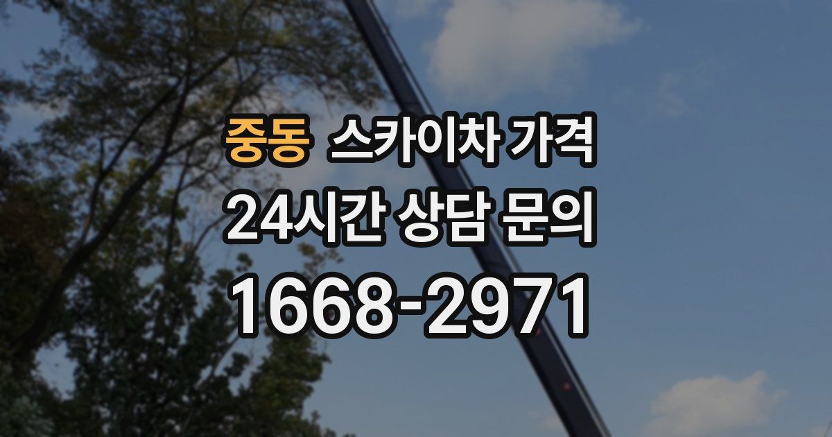 중동 스카이차 가격